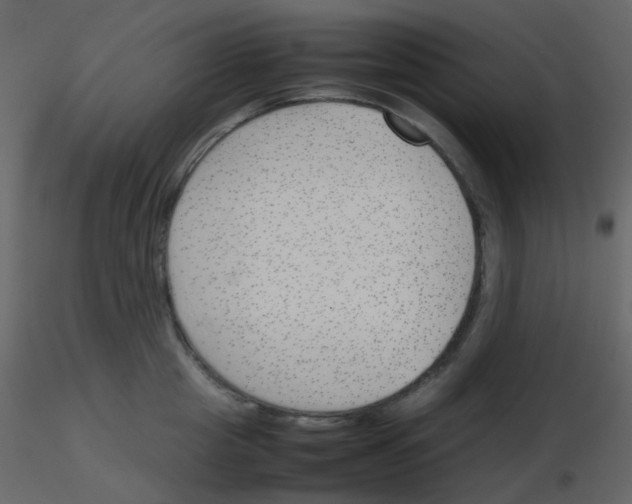X0000115760857200912241727
