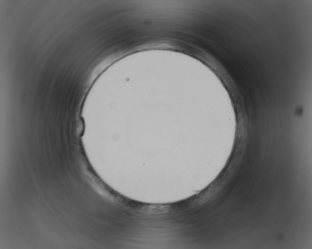 X0000115760858200912241727
