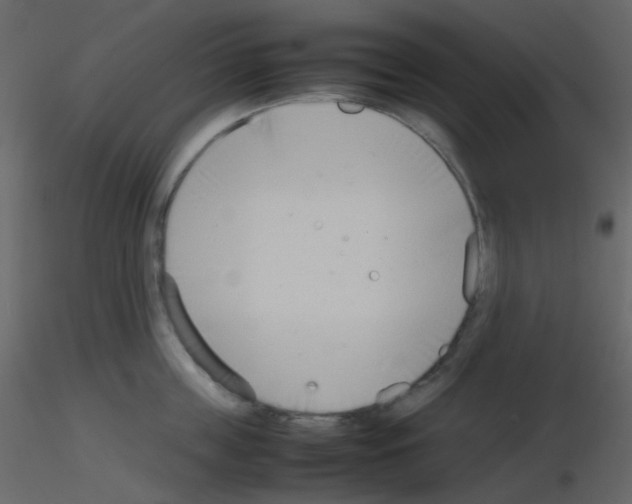 X0000115760859200912241727