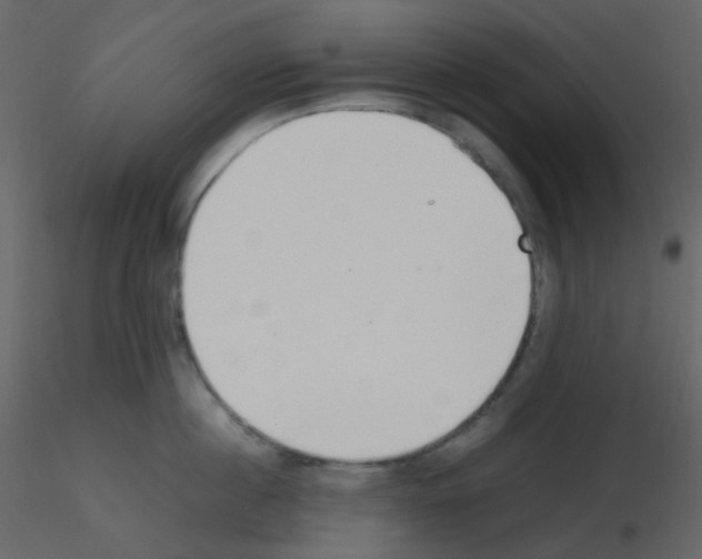 X0000115760860200912241727