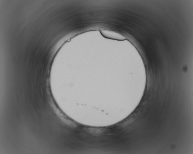 X0000115760861200912241727
