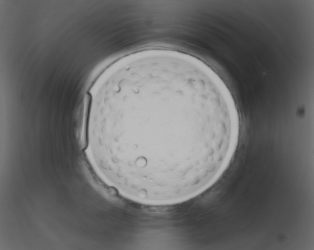X0000115760862200912241727