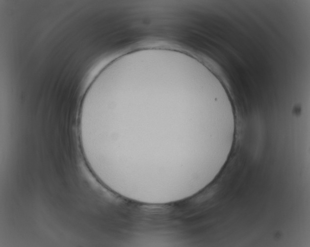X0000115760863200912241727