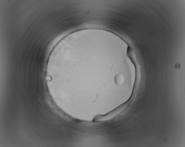 X0000115760864200912241727