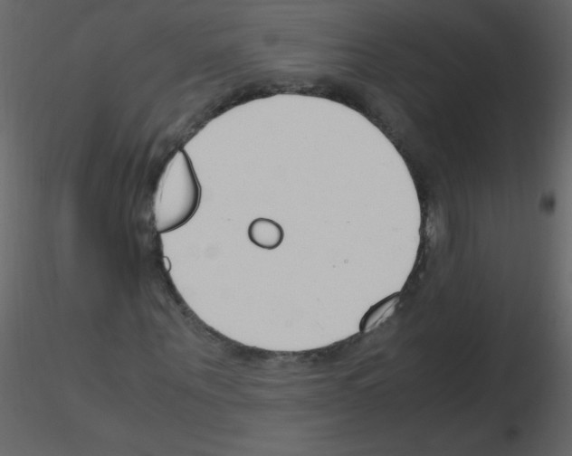 X0000115760867200912241727