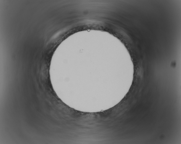 X0000115760869200912241727