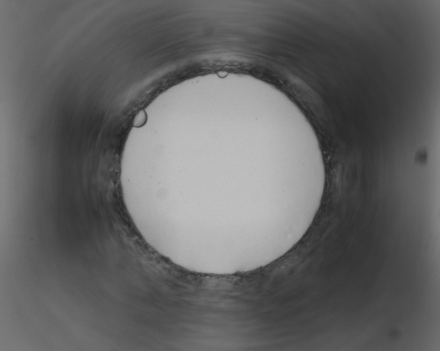 X0000115760870200912241727
