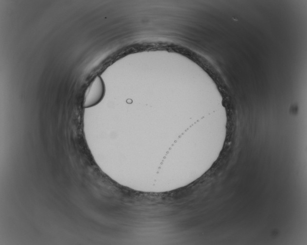 X0000115760871200912241727
