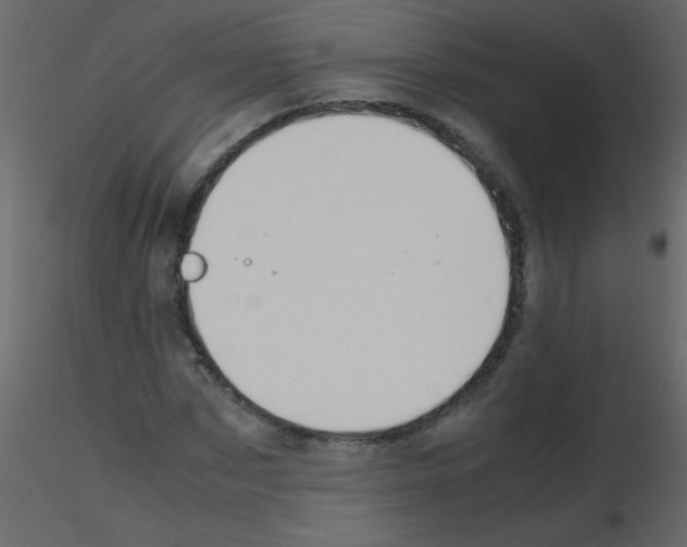 X0000115760873200912241727