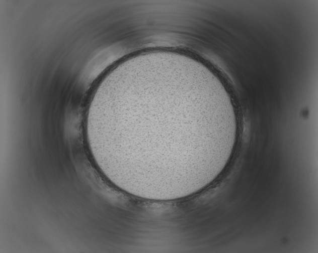 X0000115760874200912241727