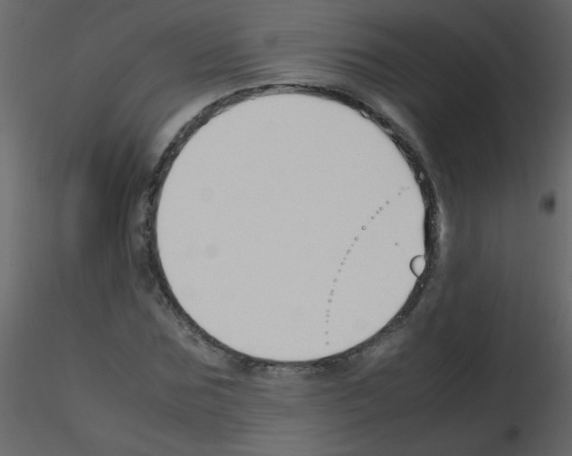 X0000115760875200912241727