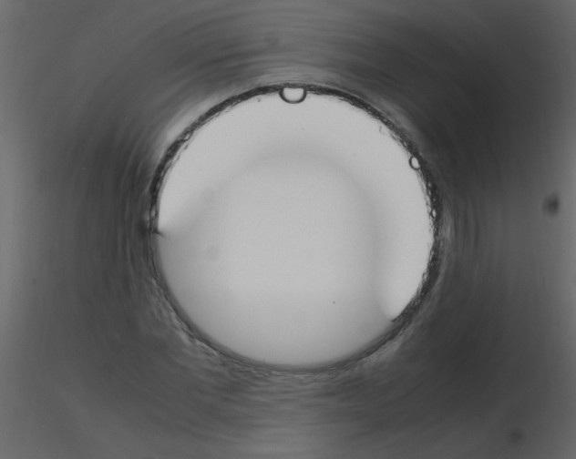 X0000115760877200912241727