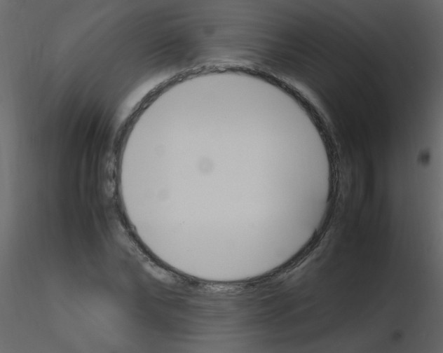 X0000115760878200912241727