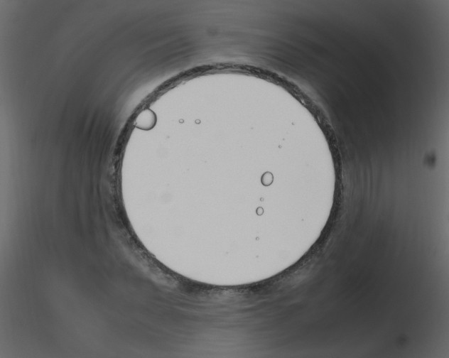 X0000115760879200912241727