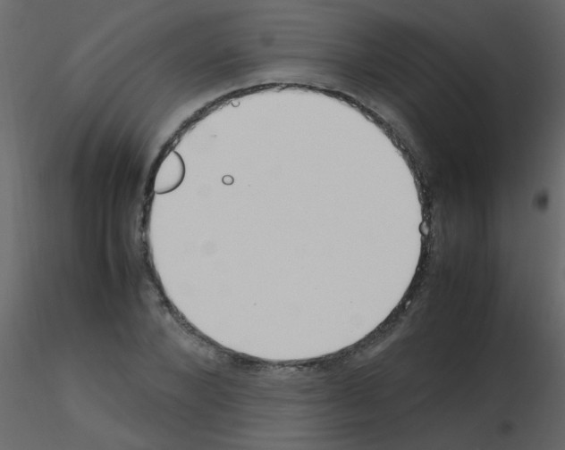 X0000115760880200912241727