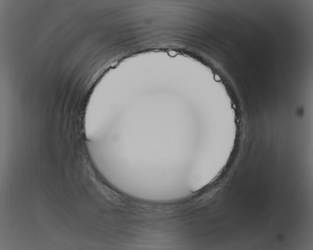 X0000115760881200912241727