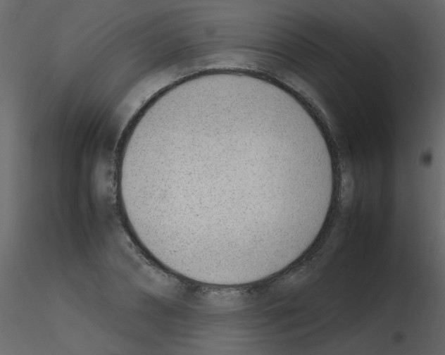 X0000115760882200912241727