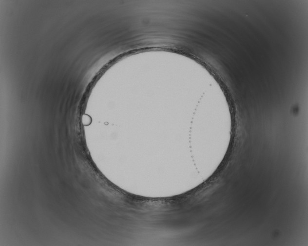 X0000115760883200912241727