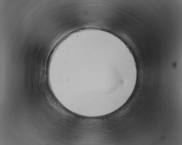 X0000115760884200912241726