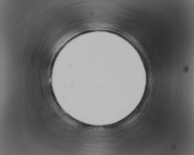 X0000115760885200912241726