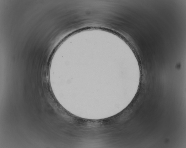 X0000115760887200912241726
