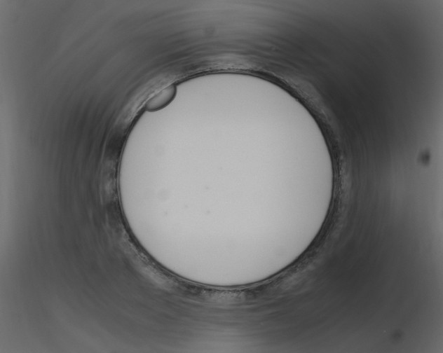 X0000115760889200912241726