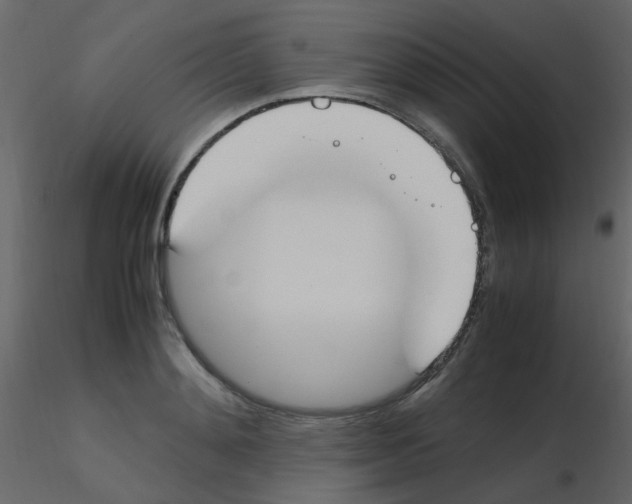 X0000115760892200912241726
