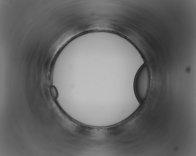 X0000115760893200912241726