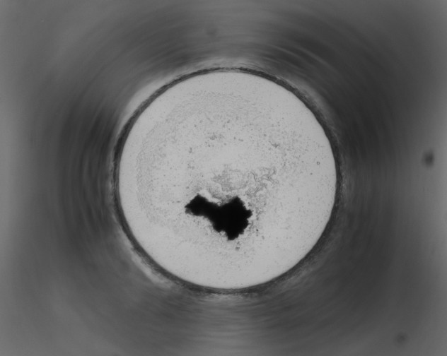 X0000115760894200912241726