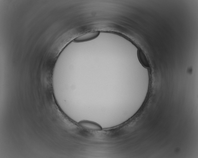 X0000115760897200912241726