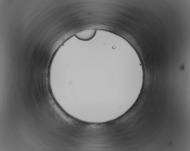 X0000115760898200912241726