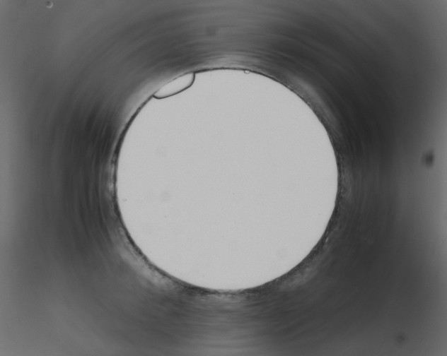 X0000115760900200912241726