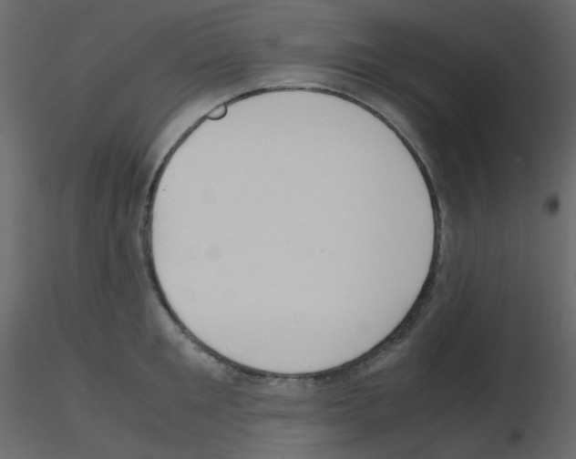 X0000115760901200912241726