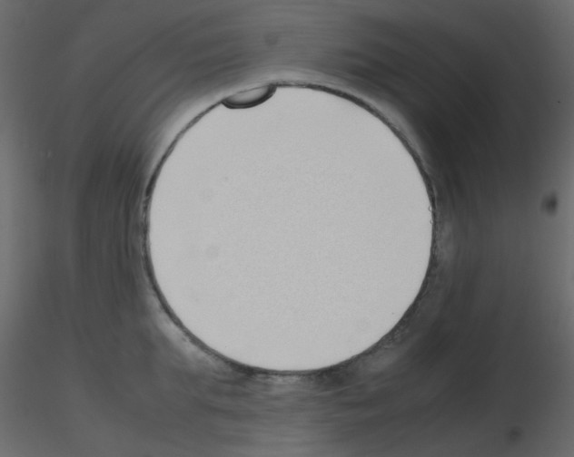 X0000115760903200912241726