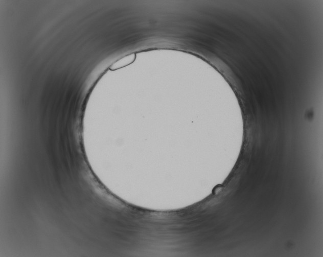 X0000115760904200912241726