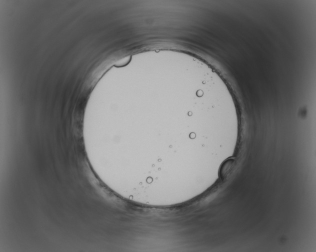X0000115760905200912241726