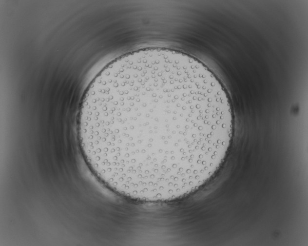 X0000115760906200912241726