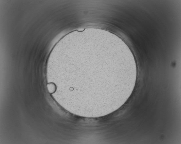 X0000115760907200912241726