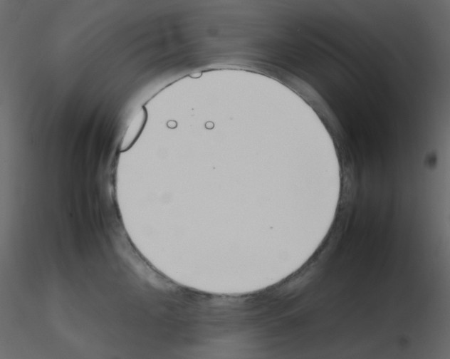 X0000115760908200912241726