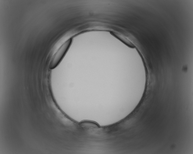 X0000115760909200912241726