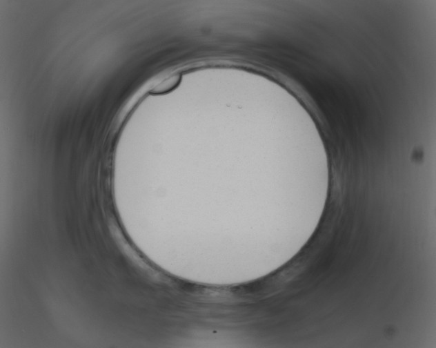 X0000115760911200912241726