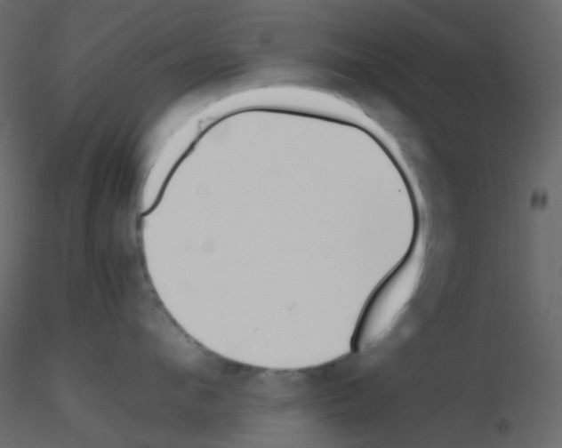 X0000115760912200912241726