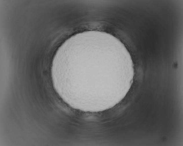 X0000115760913200912241725