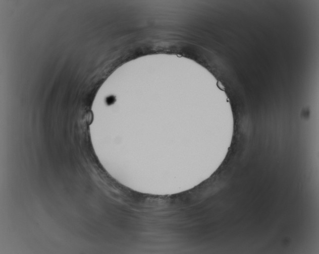 X0000115760914200912241725