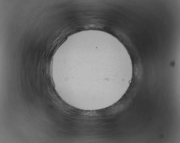 X0000115760915200912241725
