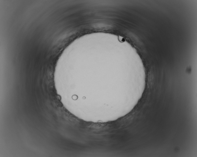 X0000115760917200912241726