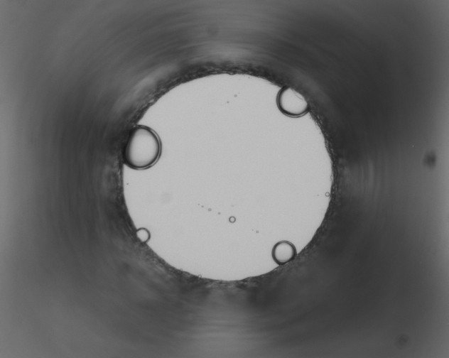 X0000115760918200912241726