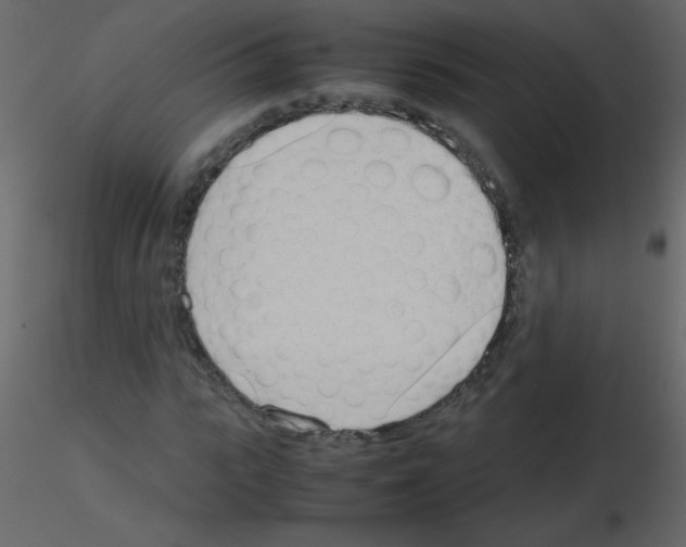 X0000115760919200912241726