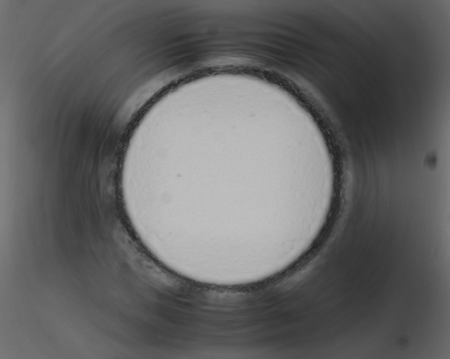 X0000115760921200912241726