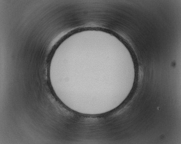 X0000115760925200912241726